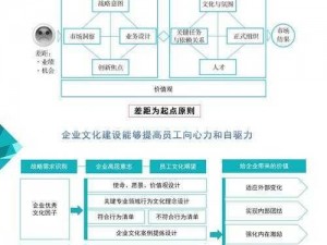 双拉一波流阵容战略解析：深度理解核心机制与实战应用