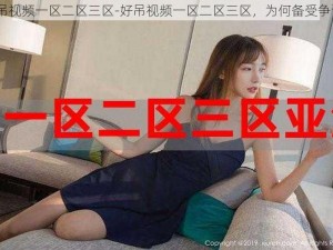 好吊视频一区二区三区-好吊视频一区二区三区，为何备受争议？