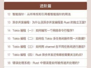 Rust账号：揭秘高效编程新篇章，掌握未来技术的关键利器