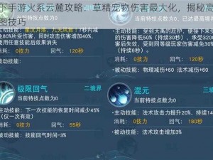 天下手游火系云麓攻略：草精宠物伤害最大化，揭秘高效刷图技巧