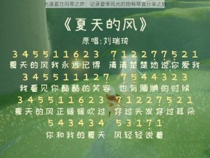 光遇夏日风琴之声：记录夏季风光的独特琴谱分享之旅