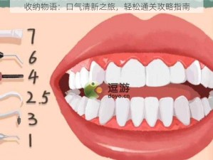 收纳物语：口气清新之旅，轻松通关攻略指南