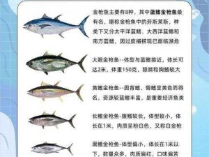 猫旅馆金枪鱼获取指南：深度解析物语中的捕鱼策略与最佳实践