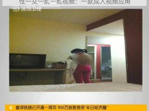 性一交一乱一乱视频：一款成人视频应用