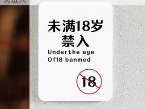 18 岁禁看网站——成人内容，未满 18 岁请勿进入