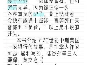 小说献给银行行长最高待遇 4：揭秘金融界的权力与欲望