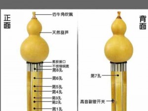 九幺免费版下载葫芦丝_如何在九幺免费版下载葫芦丝？