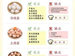 B里最多放多少个鸡蛋(你可以先告诉我这个B是什么吗？)