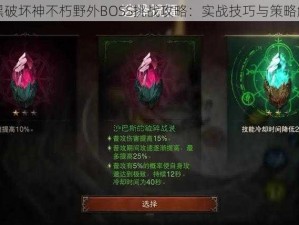 暗黑破坏神不朽野外BOSS挑战攻略：实战技巧与策略解析