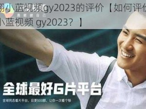 宏翔小蓝视频gy2023的评价【如何评价宏翔小蓝视频 gy2023？】