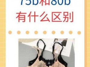 B与B为什么不一样(B 与 B 为什么不一样？它们的区别在哪里？)