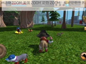 美国ZOOM动物ZOOM;美国 ZOOM 动物 ZOOM：揭秘动物世界的奇妙之旅