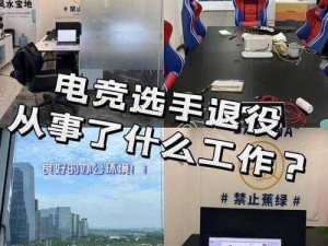 大掌门浪子谢三爷数据深度解析：全面揭示其电竞生涯的专业分析