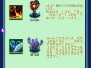 元气骑士女娲石神秘功效揭秘：解锁皮肤之力与游戏角色增益之源