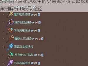 揭秘泰拉瑞亚游戏中的史莱姆法杖获取秘籍 详细解析ID获取途径