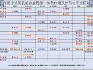 胜利足球球员装备功能揭秘：装备作用及掉落物品全面解析