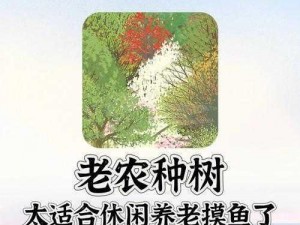 老农种树专注模式的重要性：提升生态价值与经济收益并存的实践价值探究