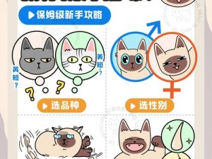 《如何挑选猫之城涂鸦选择推荐——一篇详细解析的攻略》