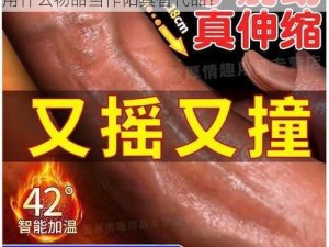 女生在家拿什么当阳具好、女生在家可以使用什么物品当作阳具替代品？