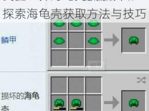 我的世界海龟壳获取攻略：探索海龟壳获取方法与技巧