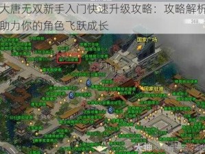 大唐无双新手入门快速升级攻略：攻略解析助力你的角色飞跃成长