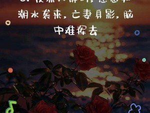 我在凌晨三点醒来，夜色中忆逝去的你：一首深情之歌