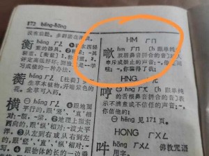 中文字字幕乱码久荜-如何解决中文字字幕乱码问题？久荜