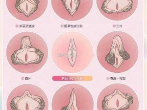 女性各种B型-女性各种 B 型，你了解多少？