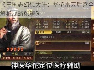 《三国志幻想大陆：华佗雷云后宫全解析战略秘籍》