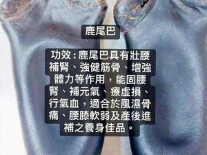 普通鹿回血方法详解：自然恢复与人工辅助措施结合促健康