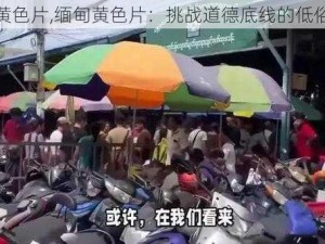 缅甸黄色片,缅甸黄色片：挑战道德底线的低俗内容