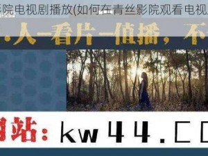 青丝影院电视剧播放(如何在青丝影院观看电视剧播放)