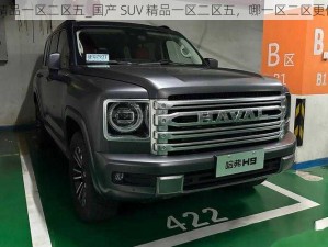 国产SUV精品一区二区五_国产 SUV 精品一区二区五，哪一区二区更值得购买？