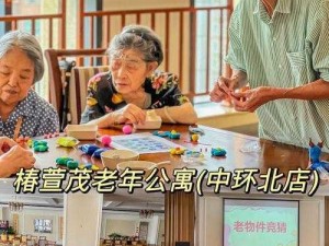 不思议迷宫养老院攻略：速刷新思路揭秘，高效入住指南助你轻松探索养老天地