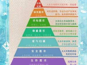 马修决定职业生涯路径：初始职业选择的考量与