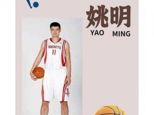 揭秘最强NBA国家队核心力量：姚明属性解析之全方位解析