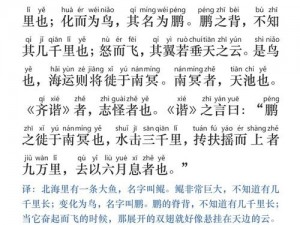 《养鲲之乐：探究其游戏魅力与价值》