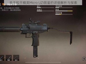 关于和平精英Micro UZI图鉴的详细解析与探索