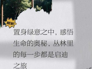 让我探索你的茂盛的丛林、让我探索你那茂盛丛林中的无尽奥秘