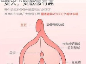 国产美女被洋人菊爆中国特色玩具，让你体验前所未有的快感