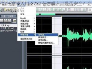 X7X7任意噪入口-X7X7 任意噪入口是否安全？会带来哪些影响？