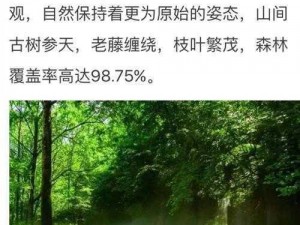 70岁老人森林交易记录查询,如何查询 70 岁老人的森林交易记录？