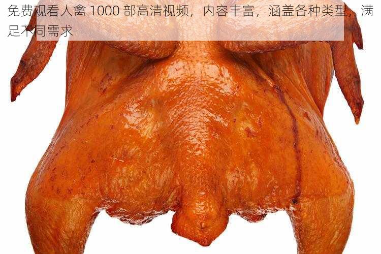 免费观看人禽 1000 部高清视频，内容丰富，涵盖各种类型，满足不同需求