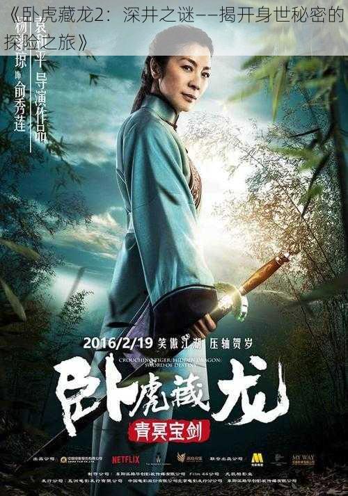 《卧虎藏龙2:深井之谜——揭开身世秘密的探险之旅》