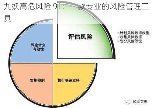 九妖高危风险 91:一款专业的风险管理工具