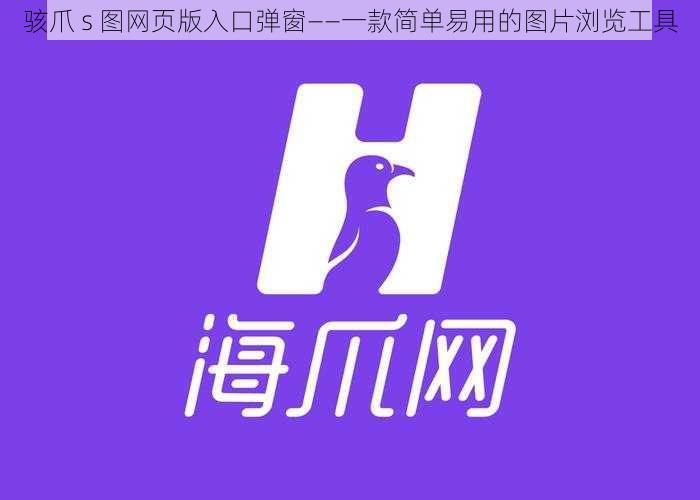 骇爪 s 图网页版入口弹窗——一款简单易用的图片浏览工具