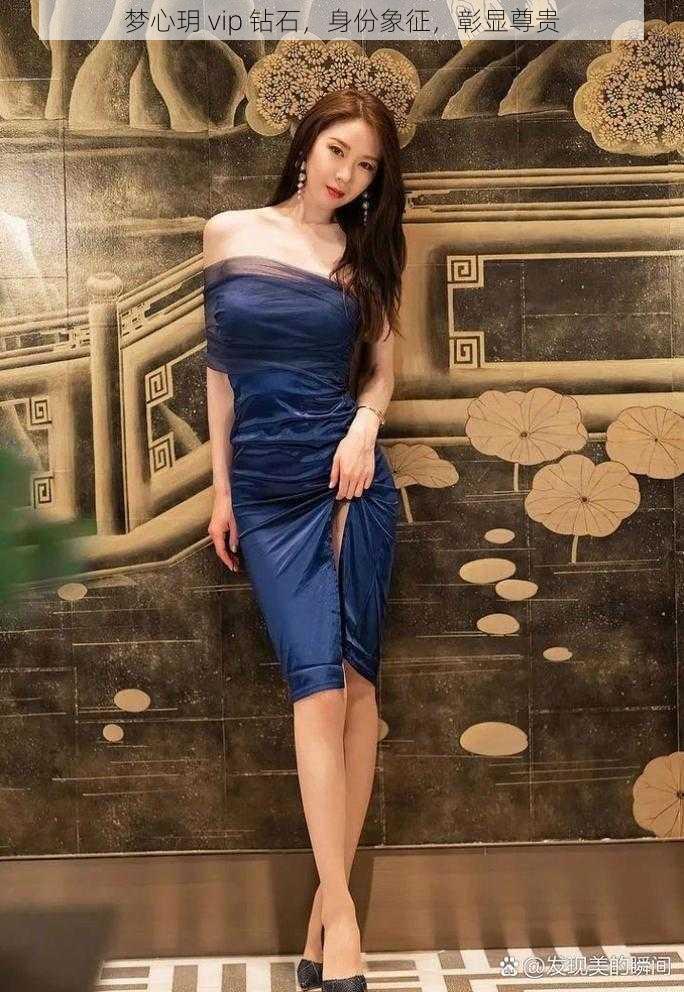 梦心玥 vip 钻石,身份象征,彰显尊贵