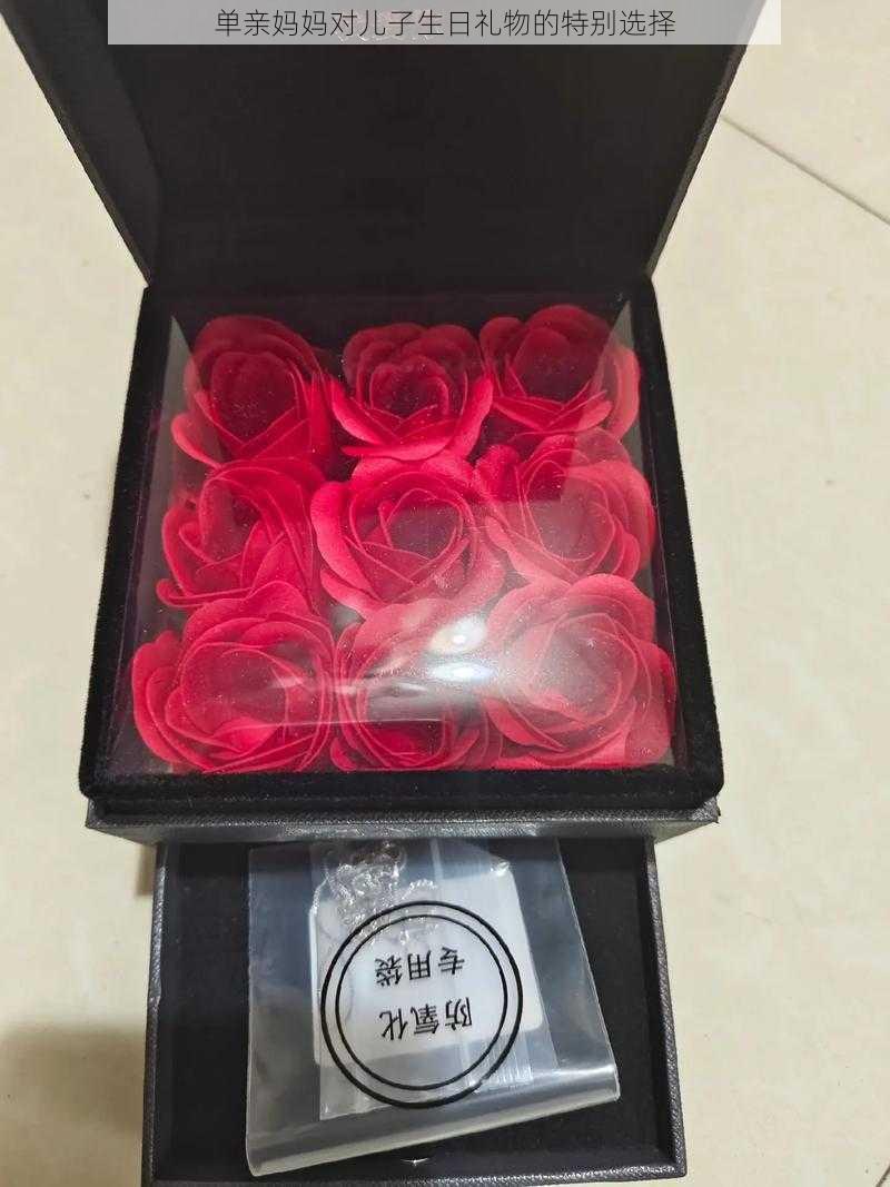 单亲妈妈对儿子生日礼物的特别选择
