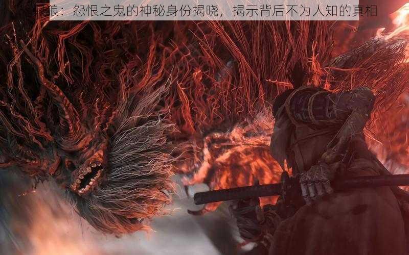 只狼:怨恨之鬼的神秘身份揭晓,揭示背后不为人知的真相