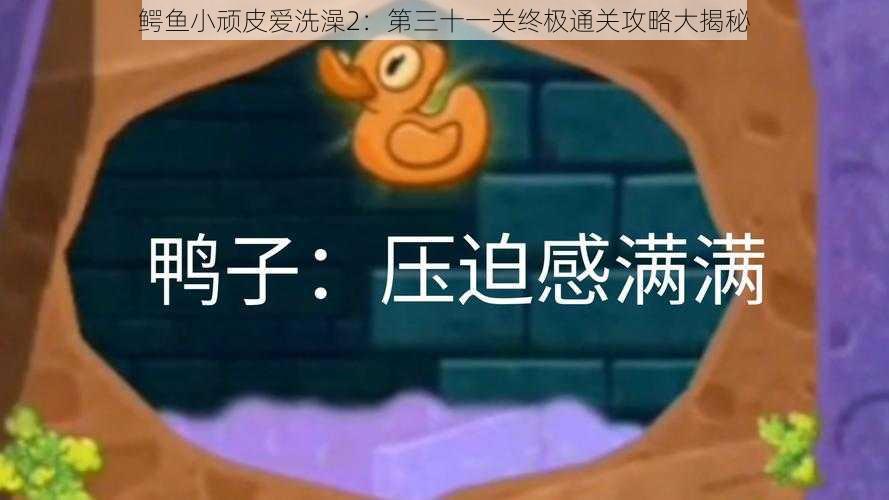 鳄鱼小顽皮爱洗澡2：第三十一关终极通关攻略大揭秘